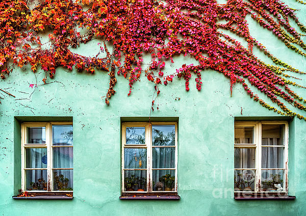 Picturesque Window 2 by Miles Whittingham Picturesque Window 2 by Miles Whittingham